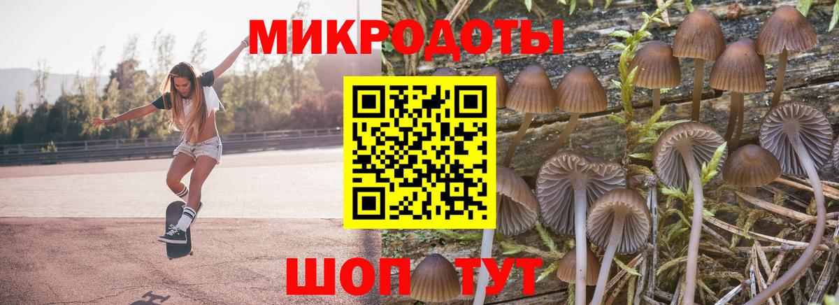 дарнет шоп  Псилоцибиновые грибы Psilocybine cubensis  Вход с VPN  Галлюциногенные грибы мухоморы  Верхняя Салда 